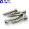 VÍT GỖ INOX ĐẦU LỤC GIÁC CHÌM