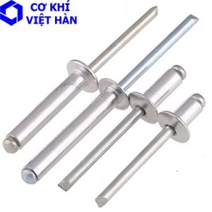 rivet inox